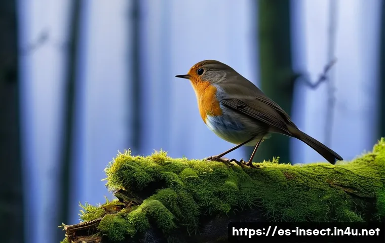 Conoce las Sorprendentes Consecuencias de la Desaparición de Insectos que Nadie te Ha Explicado 3 곤충 멸종에 따른 환경적 변화 관련 이미지 1
