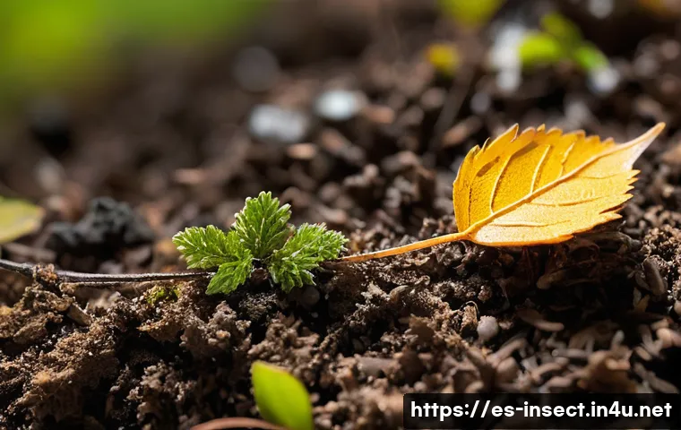 Conoce las Sorprendentes Consecuencias de la Desaparición de Insectos que Nadie te Ha Explicado 4 곤충 멸종에 따른 환경적 변화 관련 이미지 2