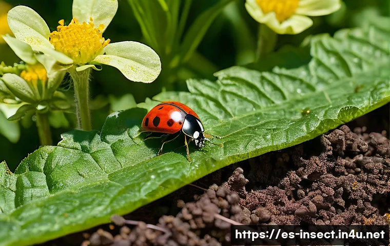 7 libros imprescindibles para descubrir el fascinante mundo de los insectos 3 곤충 관련 서적 추천 관련 이미지 1